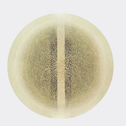 Enlightenment, Volume-V