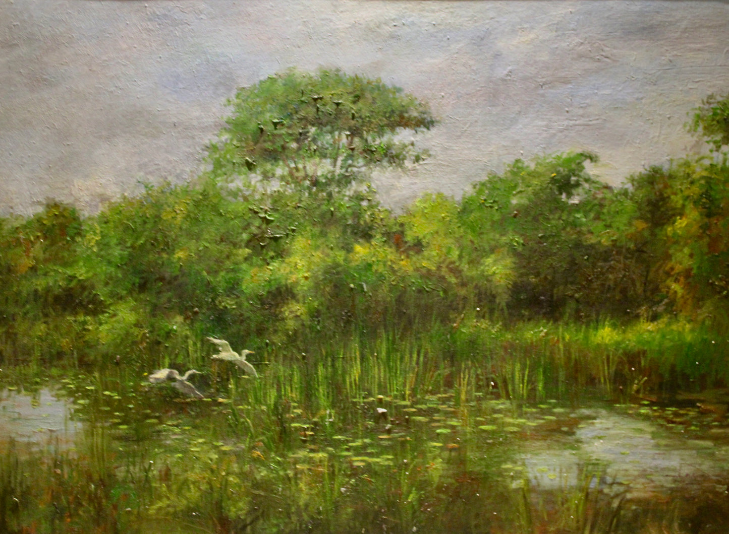 Tranquil Waters