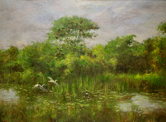 Tranquil Waters