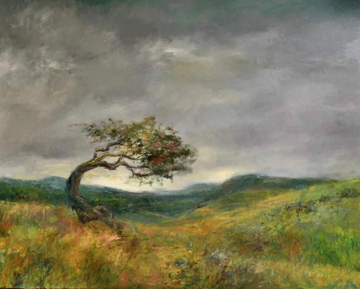 Shape of the Wind