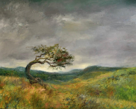 Shape of the Wind